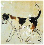 hound